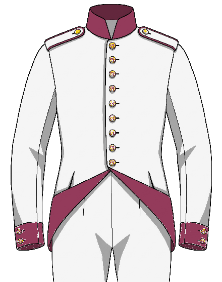 Linien-Infanterie-Regiment NR.45 uniform